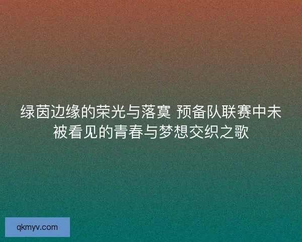 绿茵边缘的荣光与落寞 预备队联赛中未被看见的青春与梦想交织之歌